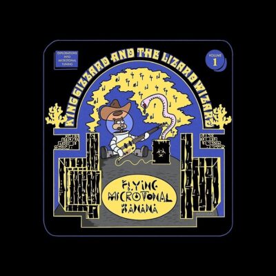 King Gizzard And The Lizard Wizard Tote Bag Official King Gizzard Merch